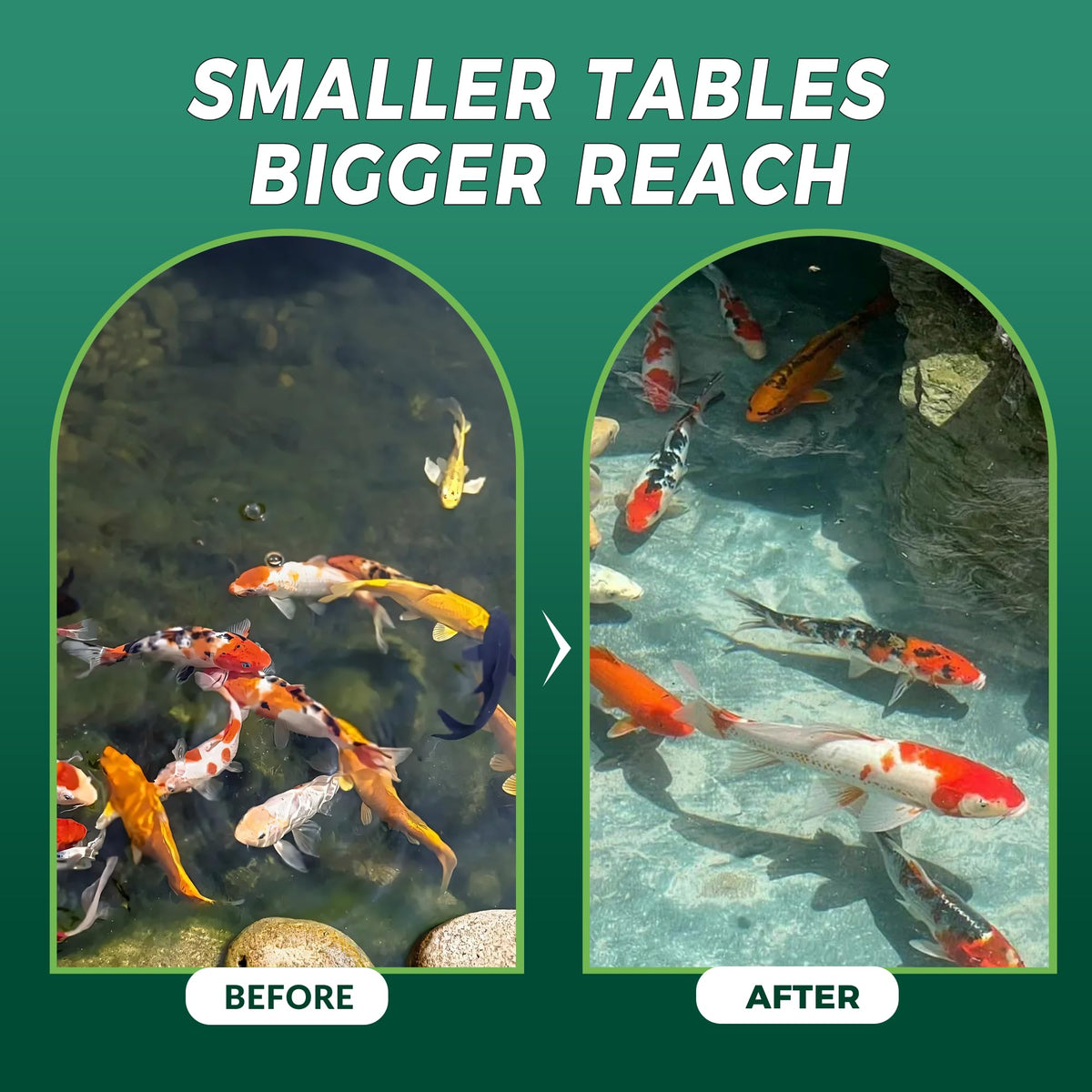 ActiClear Muck Clear is safe for fish and wildlife in ponds.