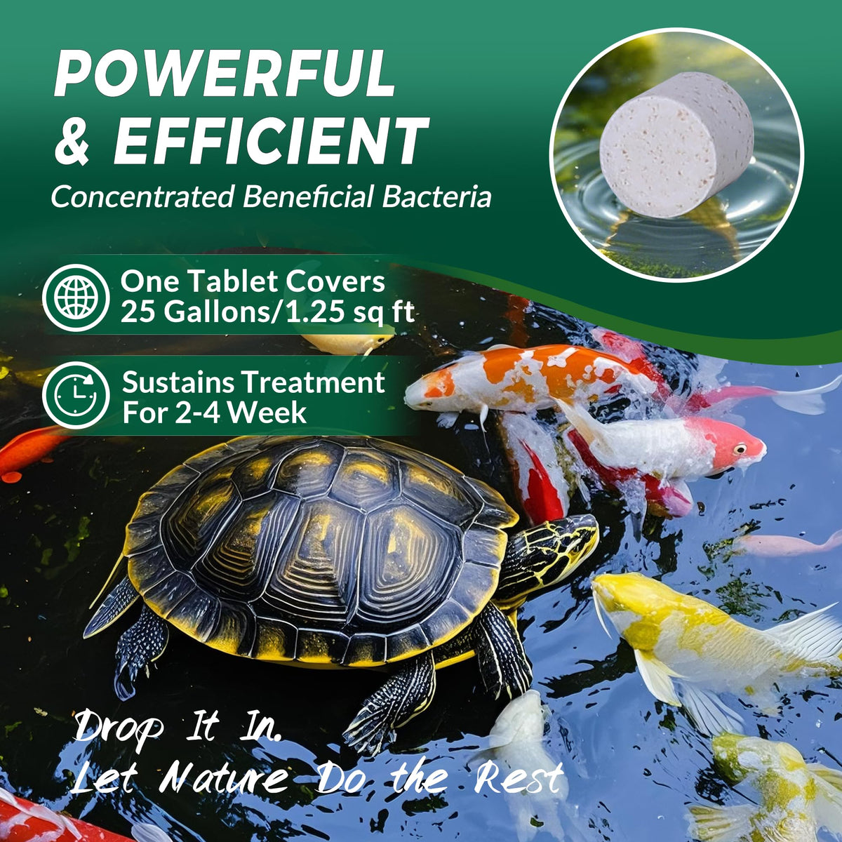 ACTICLEAR Muck Clear tablets dissolving in water with slow-release action