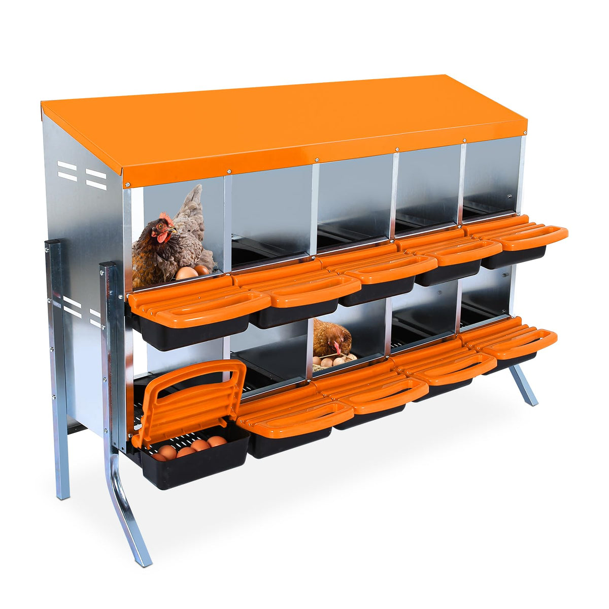 ActiveTrail chicken nesting box 10-hole roll-away enables quick egg collection