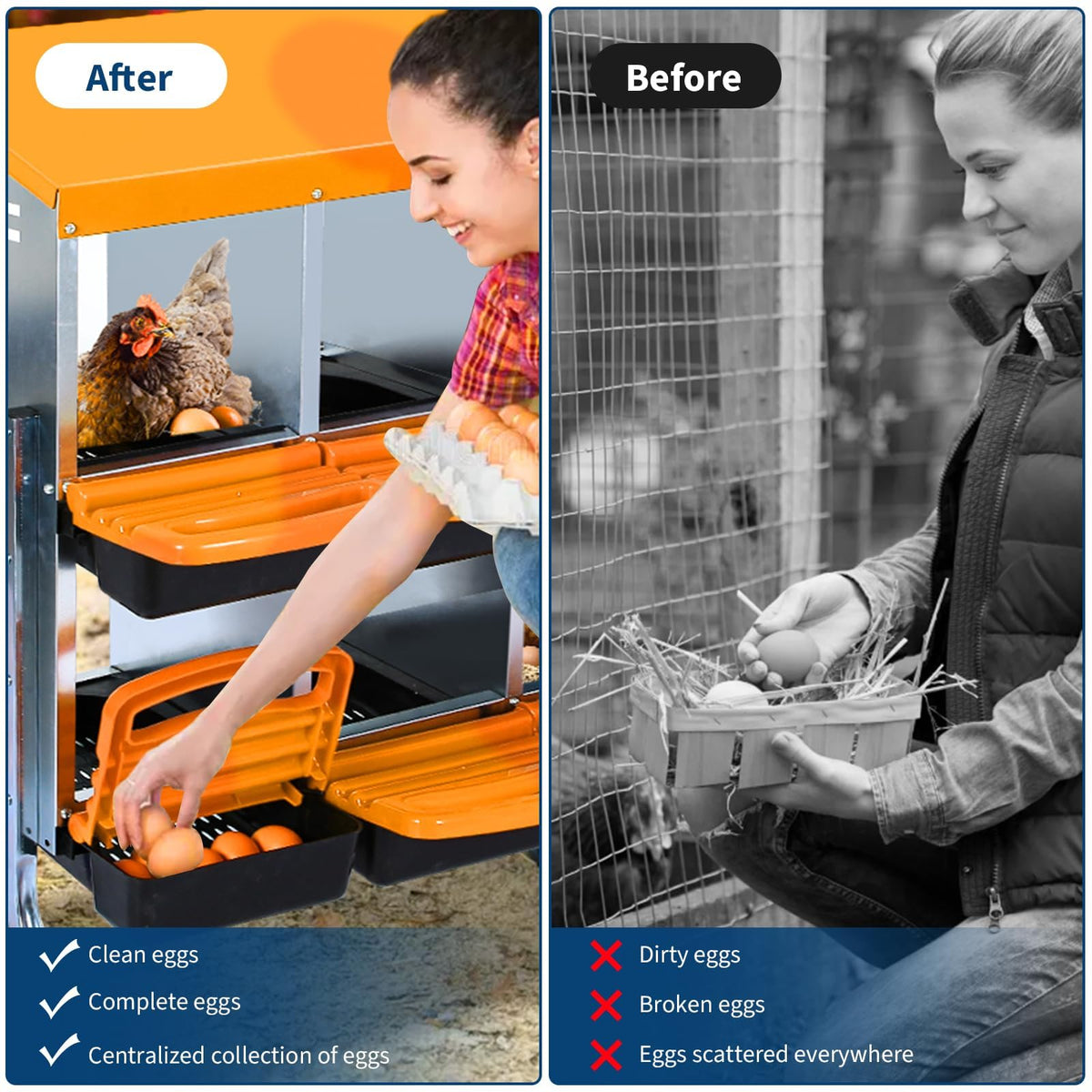ActiveTrail nesting box with removable dividers aids quick cleaning