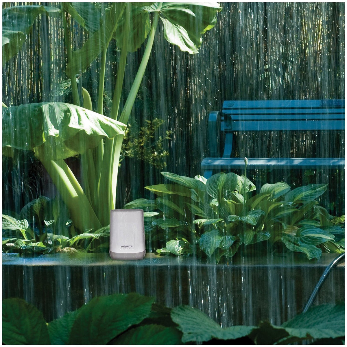 Acurite digital history display highlighting daily rainfall trends.