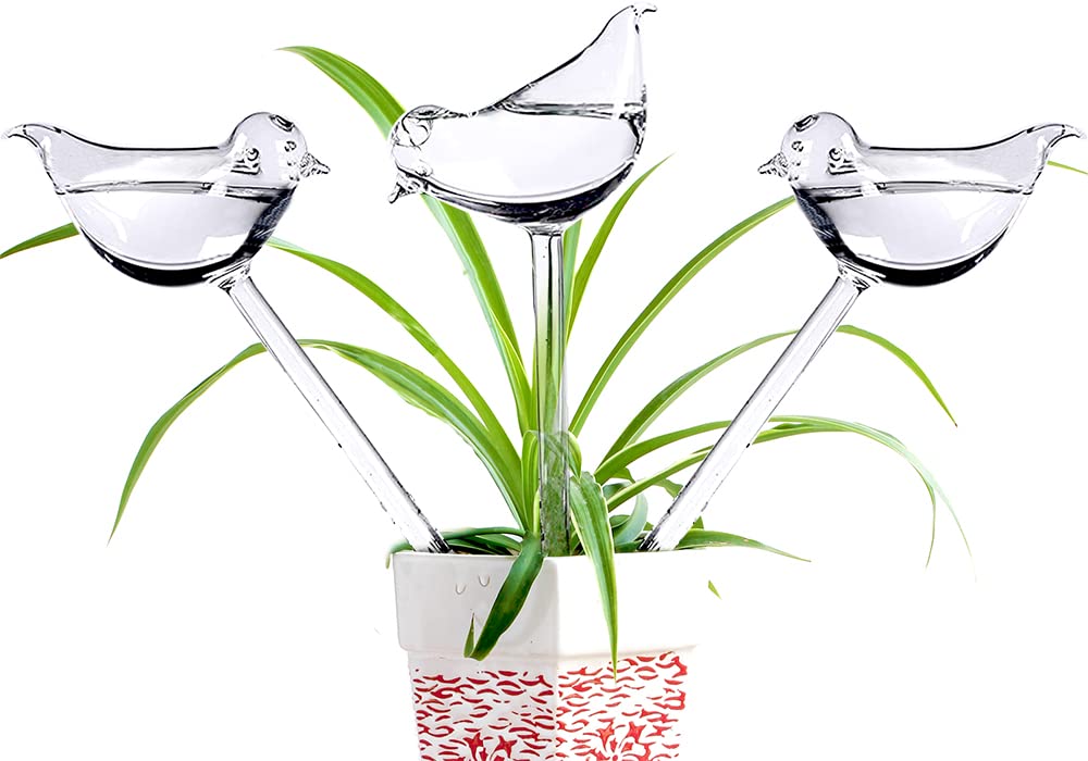 Adabocute glass bird-shaped watering globe keeps indoor plants moist while you're away.
