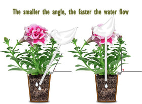 Adabocute vacation-friendly watering globe makes plant care easy while away.