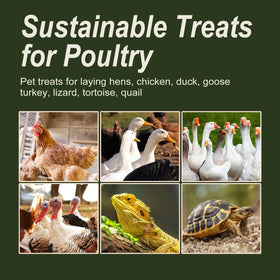 Natural packaging conveys 100% natural, additive-free BSF larvae.