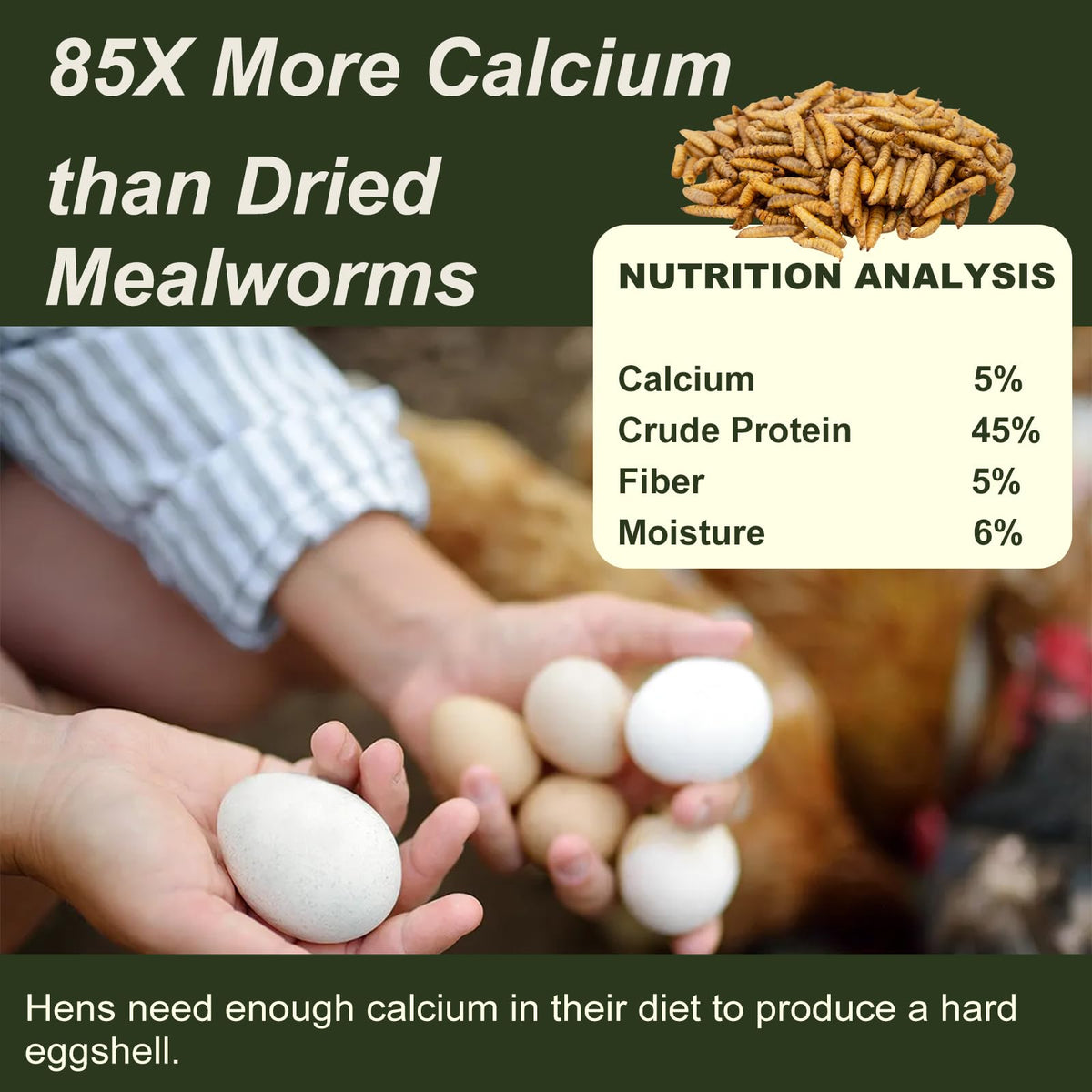 Bulk Adaman BSF larvae packaging shown as natural, non-GMO feed option.