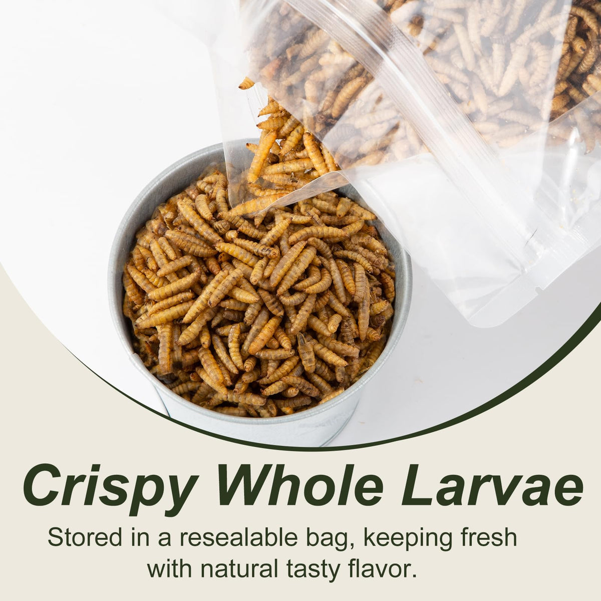 Adaman BSF larvae image emphasizes calcium-rich nutrition for birds.