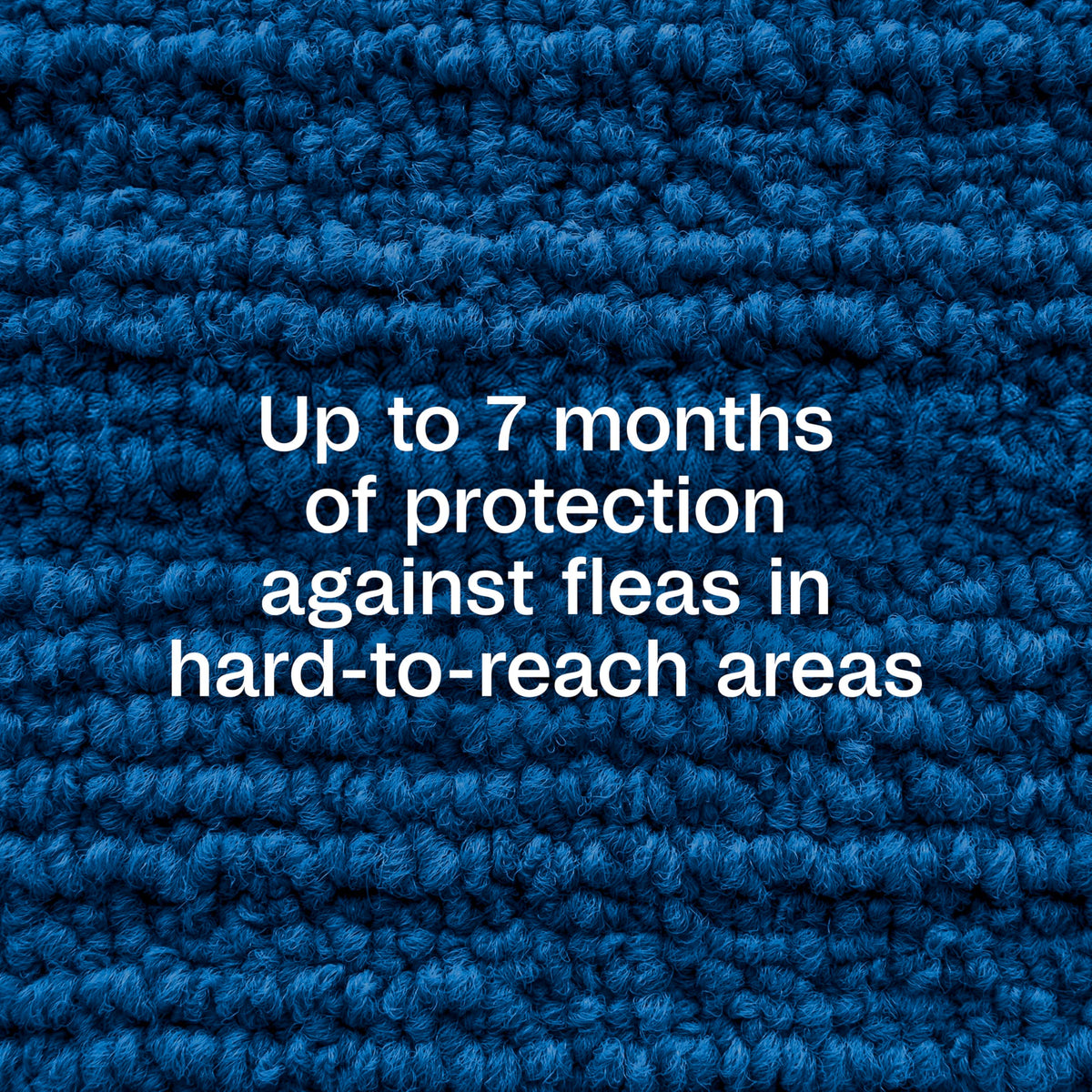 ADAMS Plus fogger in a room demonstrates area coverage against hidden pests.
