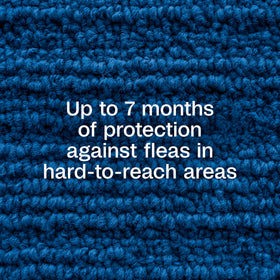 ADAMS Plus fogger in a room demonstrates area coverage against hidden pests.
