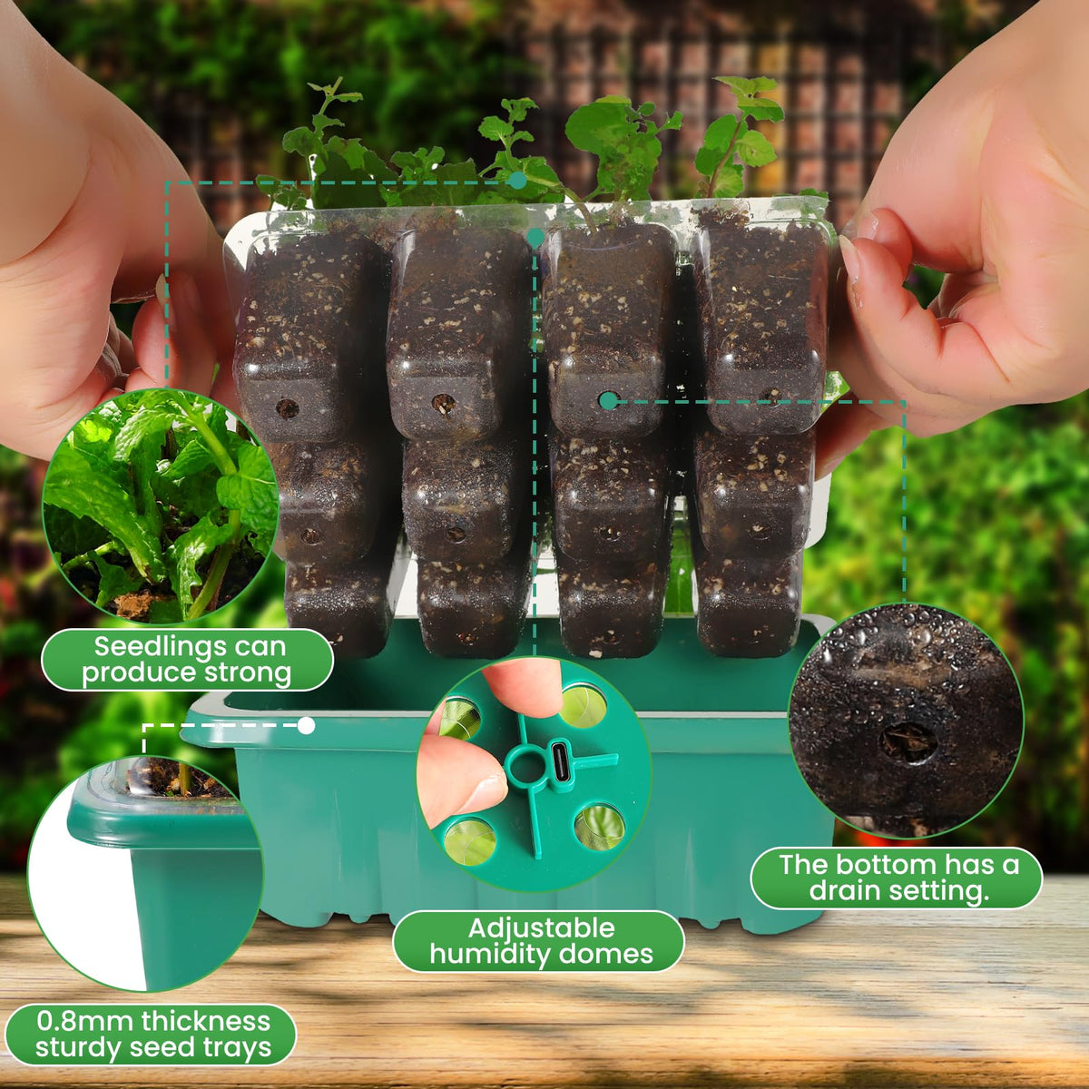 Adawook adjustable humidity regulator for seedling care