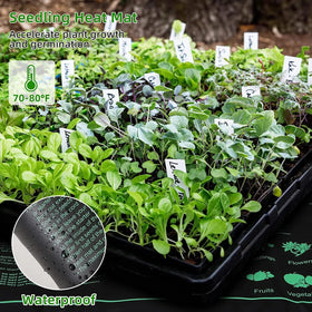 Adawook adjustable humidity vents tailor conditions for seedling stages