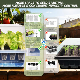 Adawook clear-base seed tray enables moisture and root visibility