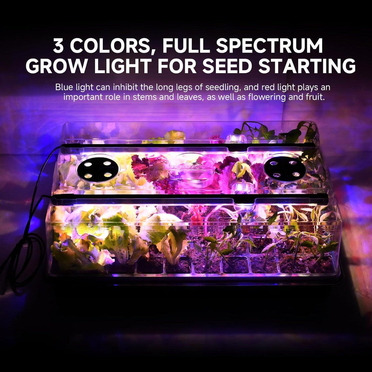 Adawook dense-seedling growth from color-change lighting for beginners