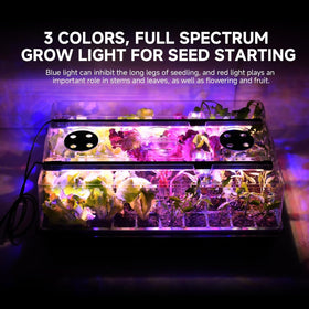 Adawook dense-seedling growth from color-change lighting for beginners