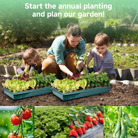 Adawook durable seedling tray for repeated use and reliable drainage.