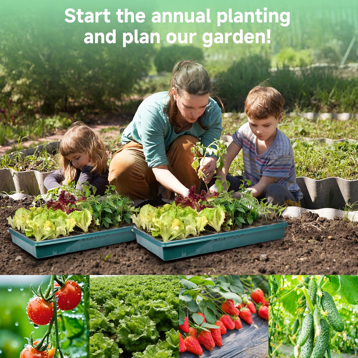 Adawook seed kit makes a thoughtful gift for plant lovers.