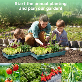 Adawook seed kit makes a thoughtful gift for plant lovers.