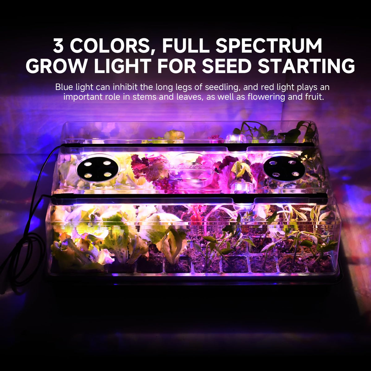 Adawook humidity dome with adjustable vents helps regulate moisture for germination.