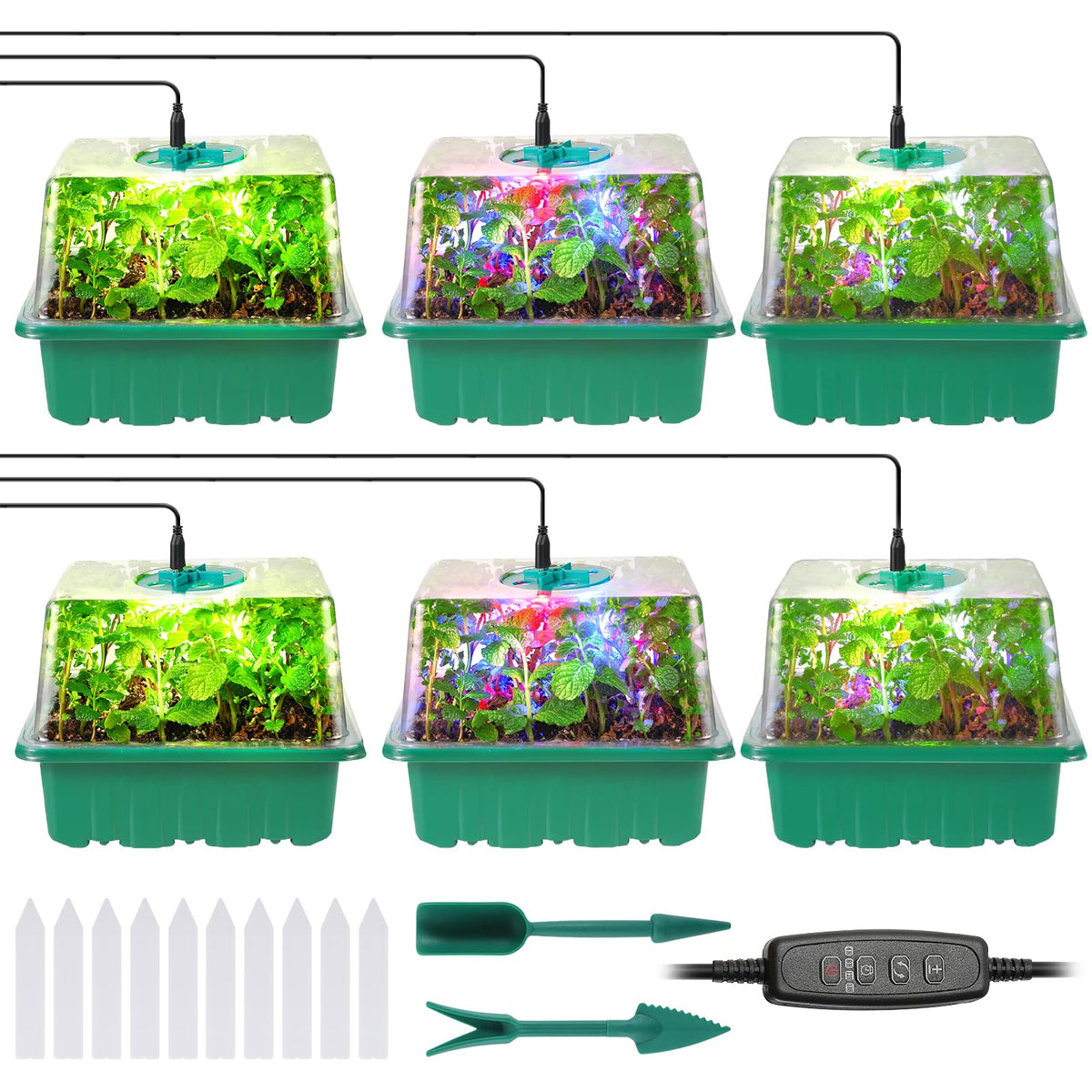 Adawook seed starter trays with 72-cell layout for organized germination