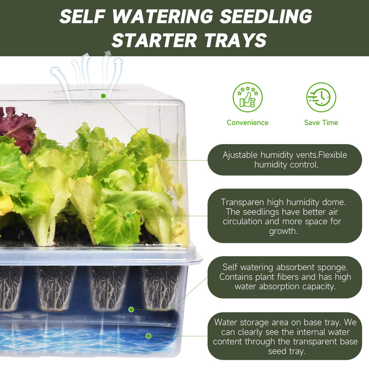 Adawook self-watering base tray shows even moisture delivery
