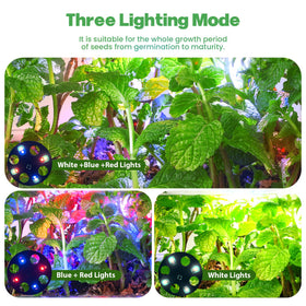 Adawook grow light panel offering white, blue, red modes for optimized seedling growth.