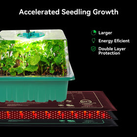 Adawook seed tray with drainage holes prevents waterlogging