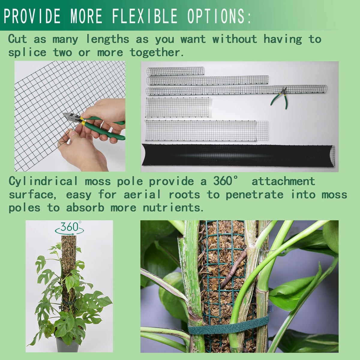 ADGYULB plant tape helps wrap and secure the pole to plants.