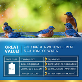 ADIOS! Bird Bath Cleaner used on a glass bath to keep it sparkling for birds.