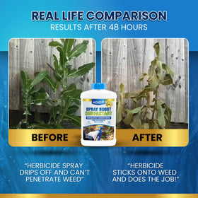 ADIOS! Spray Boost field application demonstrates potential savings from reduced reapplications.