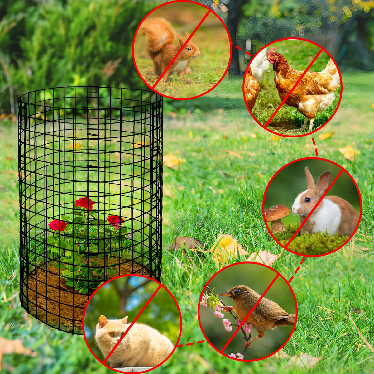 Adnee cover and lid block animal access while letting sunlight reach your plants