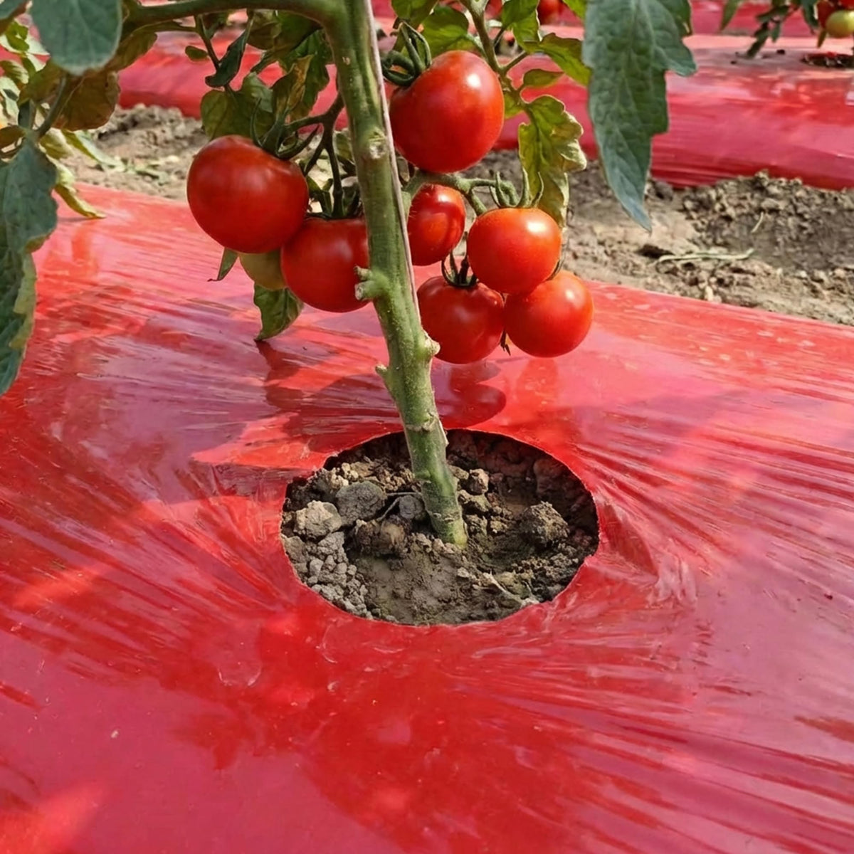 Adnee 4 mil film provides durable outdoor garden use.
