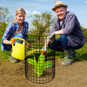 Adnee eight-pack plant protectors provide wide garden coverage