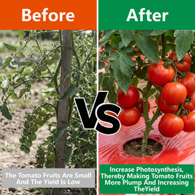 Adnee embossed red mulch film lays flat for easy bed prep.