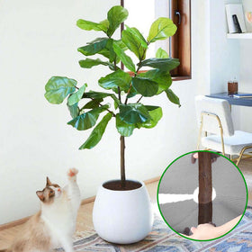 Adnee indoor/outdoor plant protection grid guards against digging.