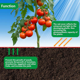 Adnee red mulch blocks weeds while guiding light to crops.