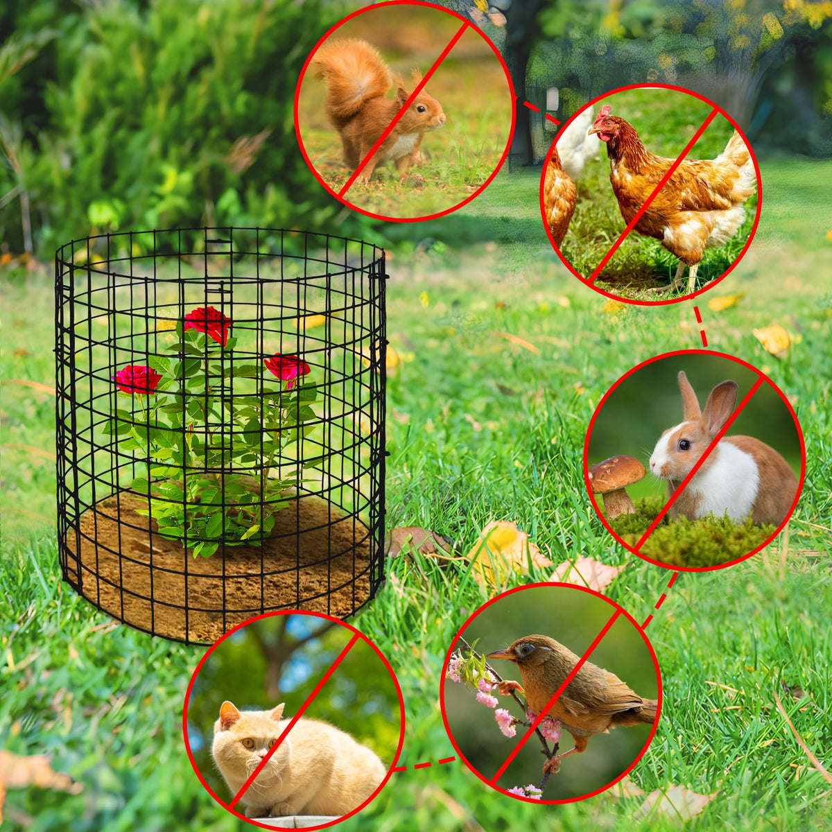 Adnee 12-inch plant cage provides room for seedlings.