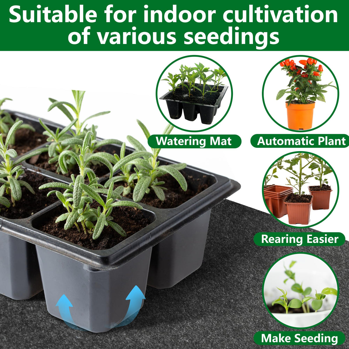 Adnee vacation watering idea using mat to sustain plants while away.