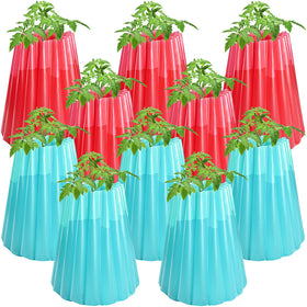 Adnee water-filled plant protectors in red and sky blue shielding tomatoes from frost and nibbling.