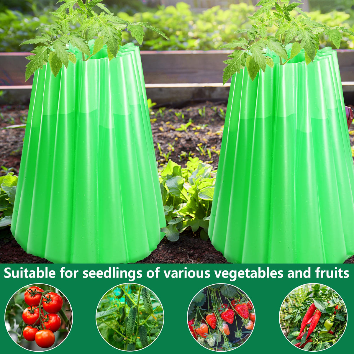 Adnee insulating plant protector suitable for tomatoes, cucumbers, peppers, and more.