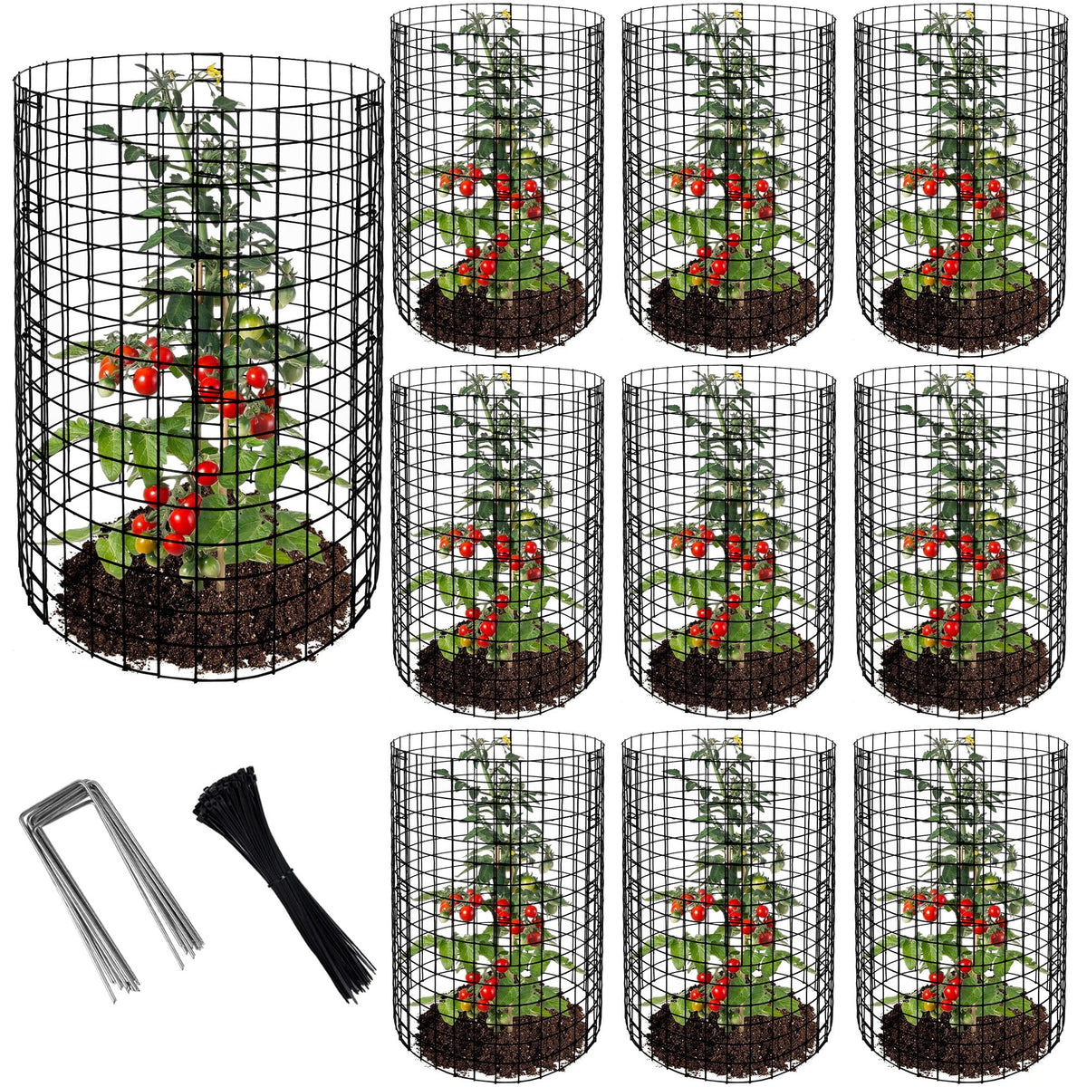 Adnee wire plant protector assembly guards vegetables with a durable mesh cage
