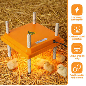 Adnkwolivt Dual safety protection with fuses ensures reliable operation.