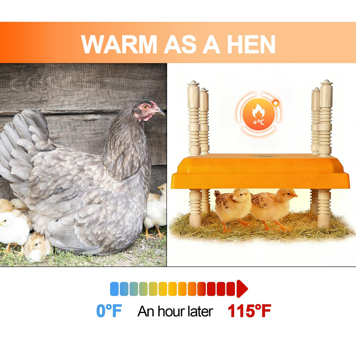 Adnkwolivt Snap-lock leg structure enables adjustable height for growing chicks.