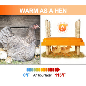 Adnkwolivt Snap-lock leg structure enables adjustable height for growing chicks.