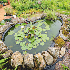 Adroiteet HDPE 20mil liner closeup shows puncture resistance for koi and fish ponds.