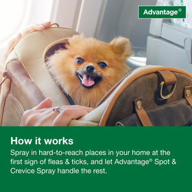 Advantage Spot and Crevice Spray dries quickly after application.