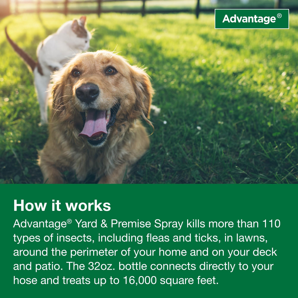 Advantage Yard & Premise Spray bottle, 32 oz, easy hose hookup.