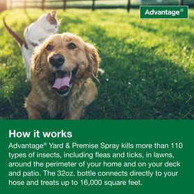 Advantage Yard & Premise Spray bottle, 32 oz, easy hose hookup.