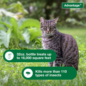 Advantage Yard & Premise Spray protects deck and patio spaces from pests.
