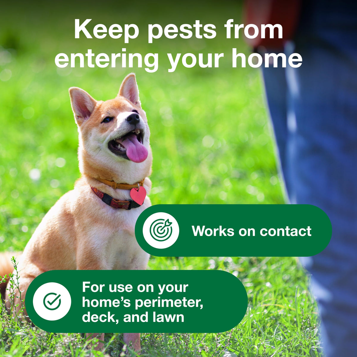 Advantage Yard & Premise Spray covers up to 16,000 square feet.