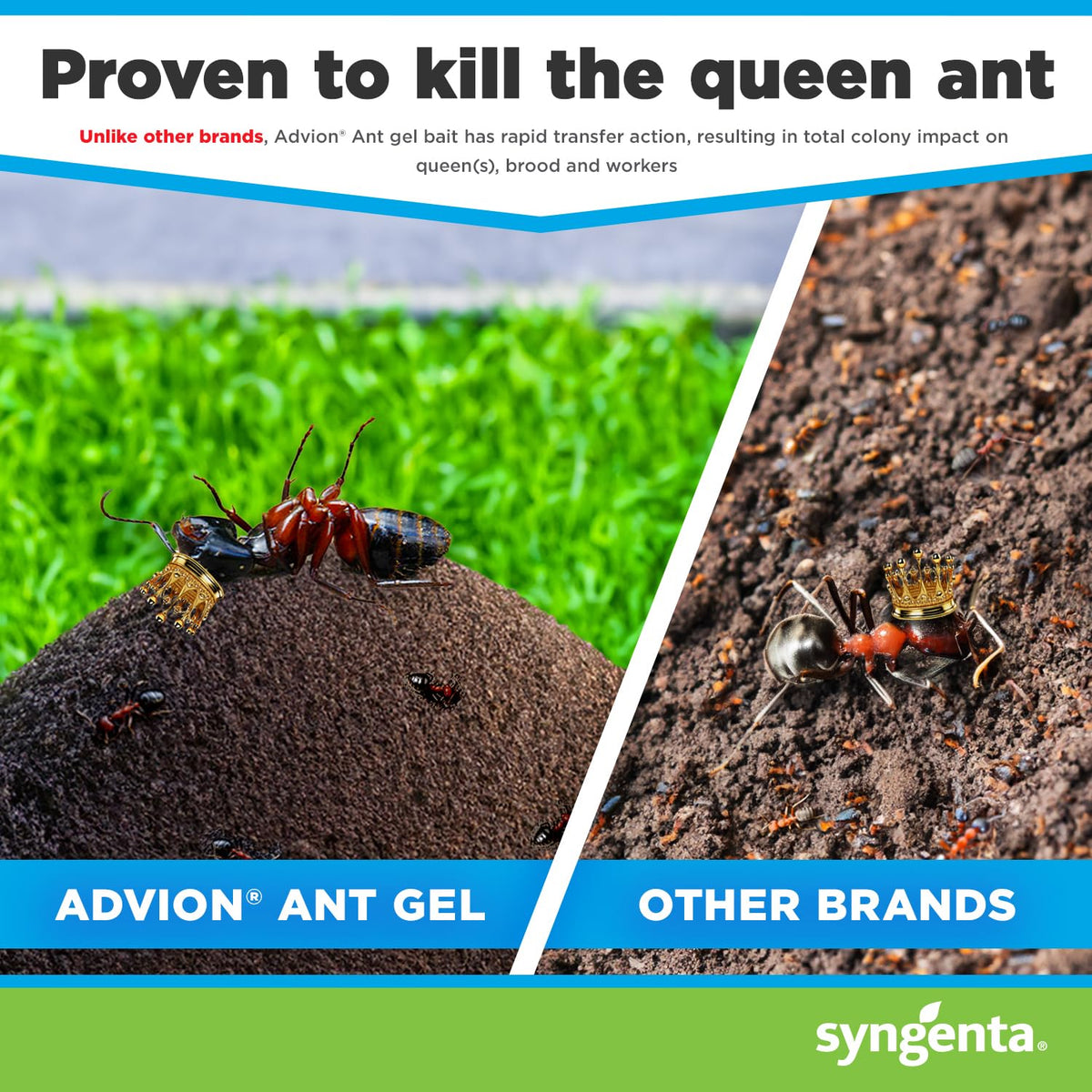 Station placed near outdoor doorway attracting foraging ants