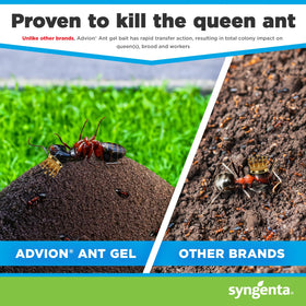 Station placed near outdoor doorway attracting foraging ants
